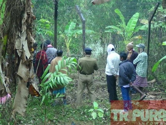 Rampant smuggling again hits Indo-Bangla border area of Kailashahar: strict vigilance on the border area fails to curb intrusion